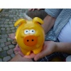Schwein gehabt !