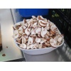 Les champignons pour le viande de bourgogne